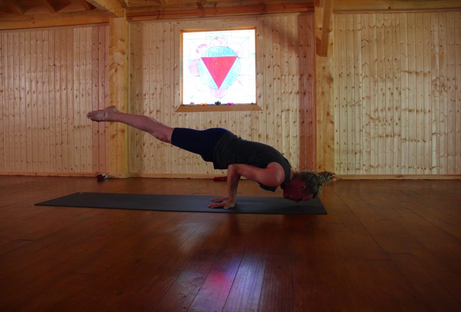 evolutionary.yoga