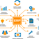 How Can an Oracle ERP Software Solution Improve Business Performance