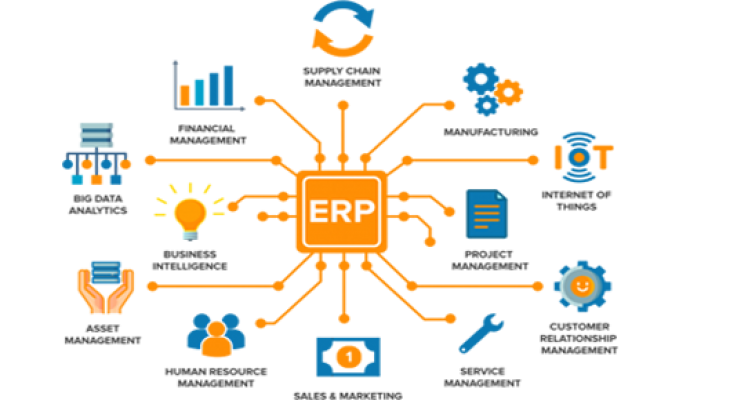 How Can An Oracle ERP Software Solution Improve Business Performance