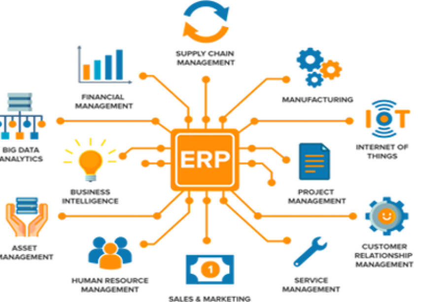 How Can an Oracle ERP Software Solution Improve Business Performance