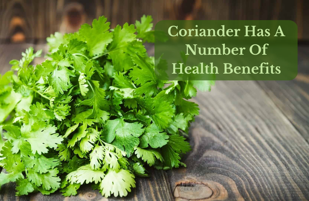 Coriander Has A Number Of Health Benefits