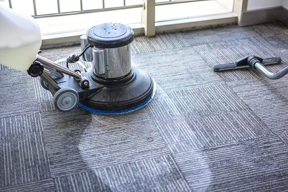 The Benefits Of Professional Carpet Cleaning Services: Is It Worth The Cost?