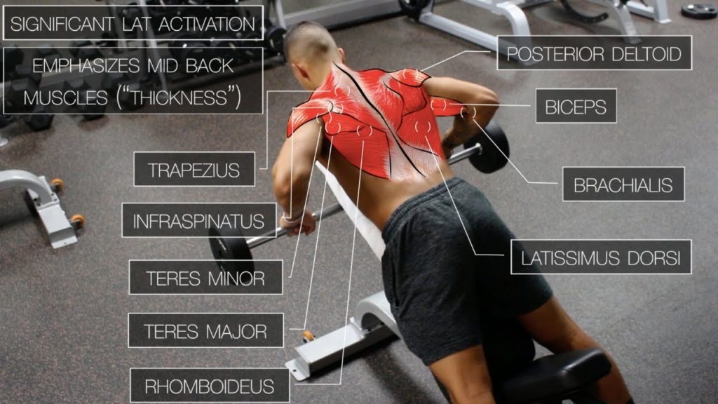 Lat Pulldowns vs. Lat Pushdowns: Which Is Better for Tricep Development?